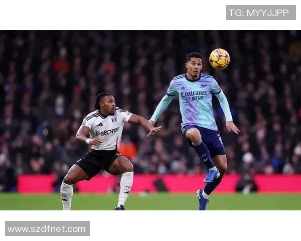 热刺主场迎战维拉精彩对决回顾与赛后分析